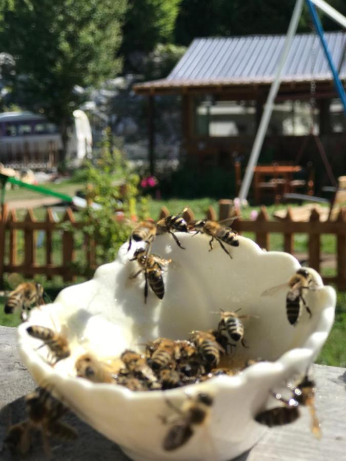 Bujtina Izet Selimaj Hotel Valbone Exterior foto